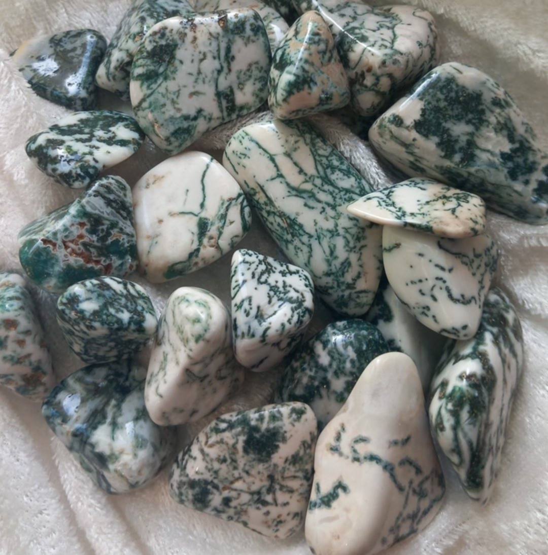 Treagat / Tree Agate