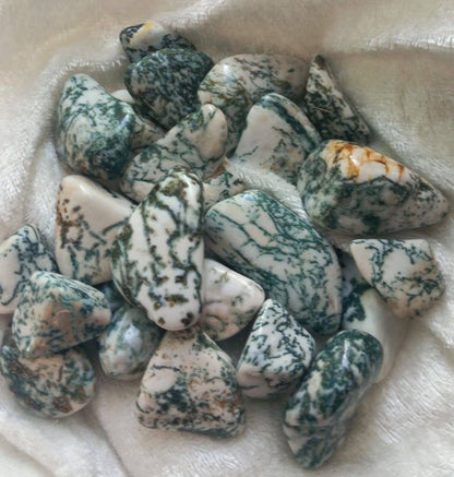 Treagat / Tree Agate