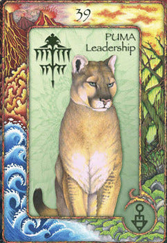 World animal dreaming oracle card