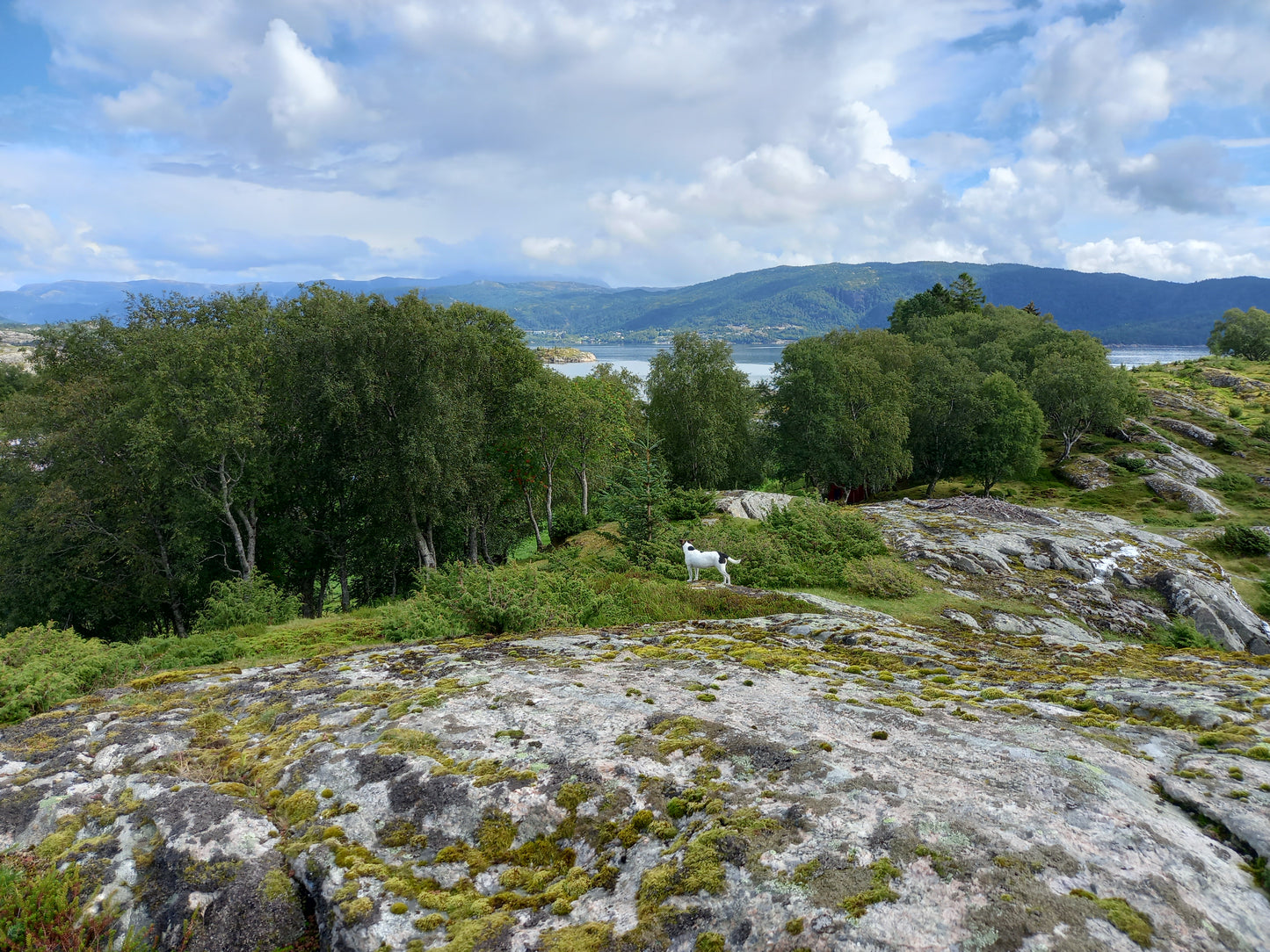 Island holiday in Norway