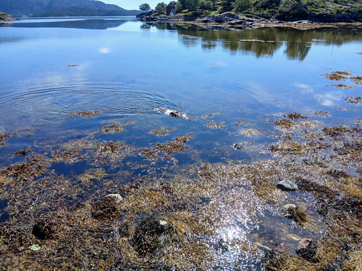 Island holiday in Norway