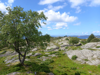 Island holiday in Norway