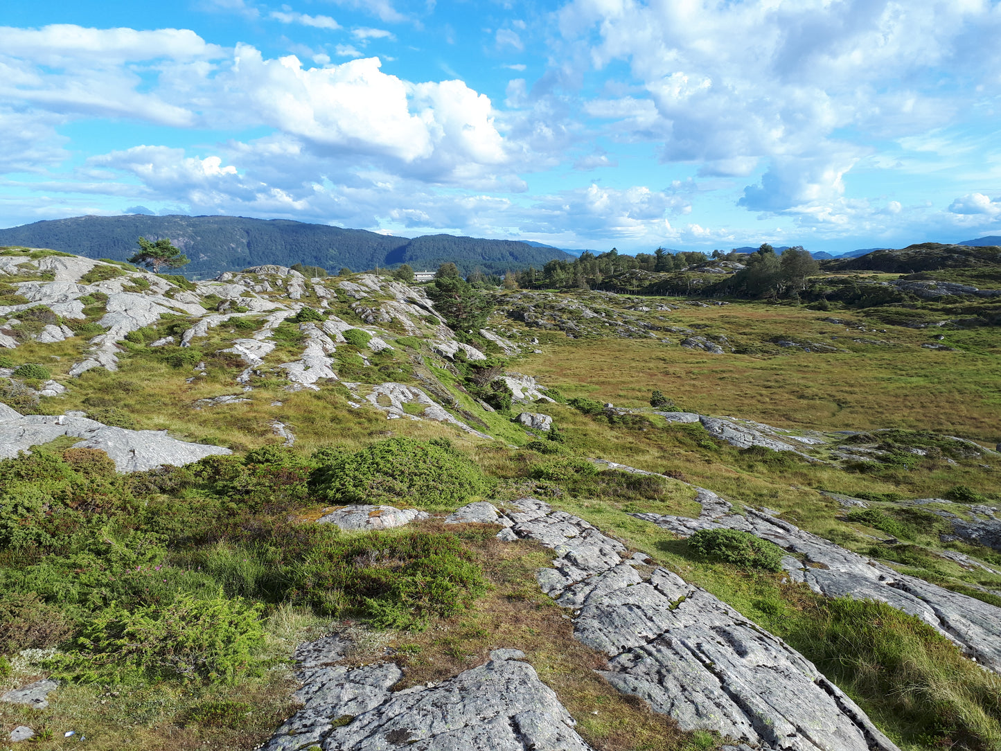 Island holiday in Norway