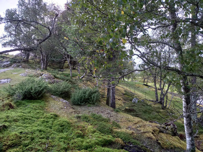 Island holiday in Norway