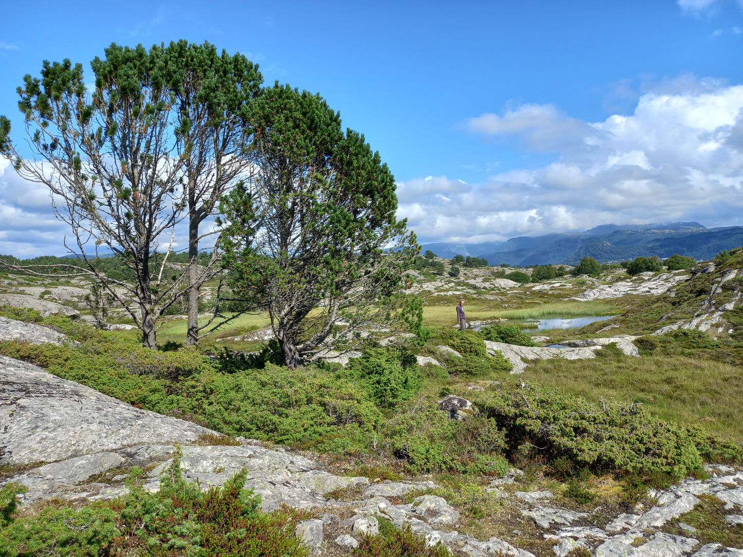 Island holiday in Norway