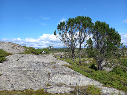 Island holiday in Norway